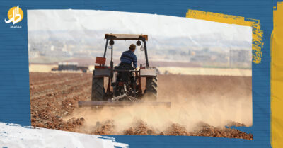“هيك ما بنفلس”.. الزراعات البديلة سبيل نجاة المزارعين بسوريا