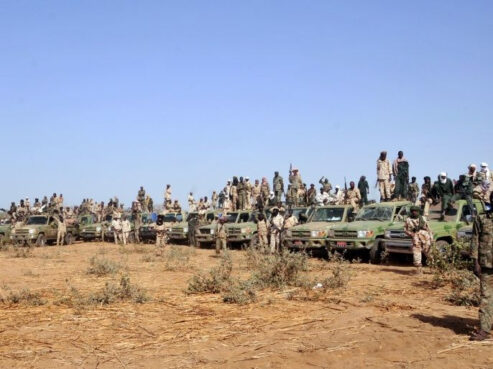 حركات مسلحة في دارفور بمدرعات ومركبات (رويترز)
