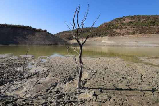 الجفاف بسبب ندرة الأمطار شمال غربي سوريا - "غيتي"
