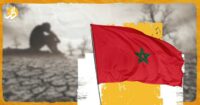 البذور المطورة.. هل تنقذ الحكومة المغربية من مأزق الجفاف؟