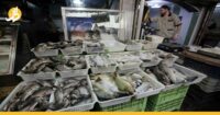 ما أسباب انخفاض أسعار السمك في سوريا للنصف؟