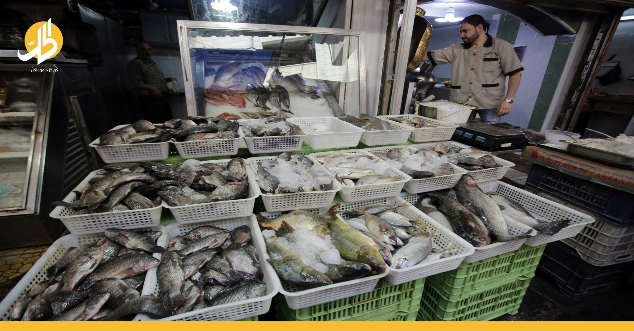 ما أسباب انخفاض أسعار السمك في سوريا للنصف؟