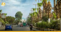 ما قصة الزهرة القاتلة التي تنتشر في الشوارع السورية؟ ما قصة الزهرة القاتلة التي تنتشر في الشوارع السورية؟