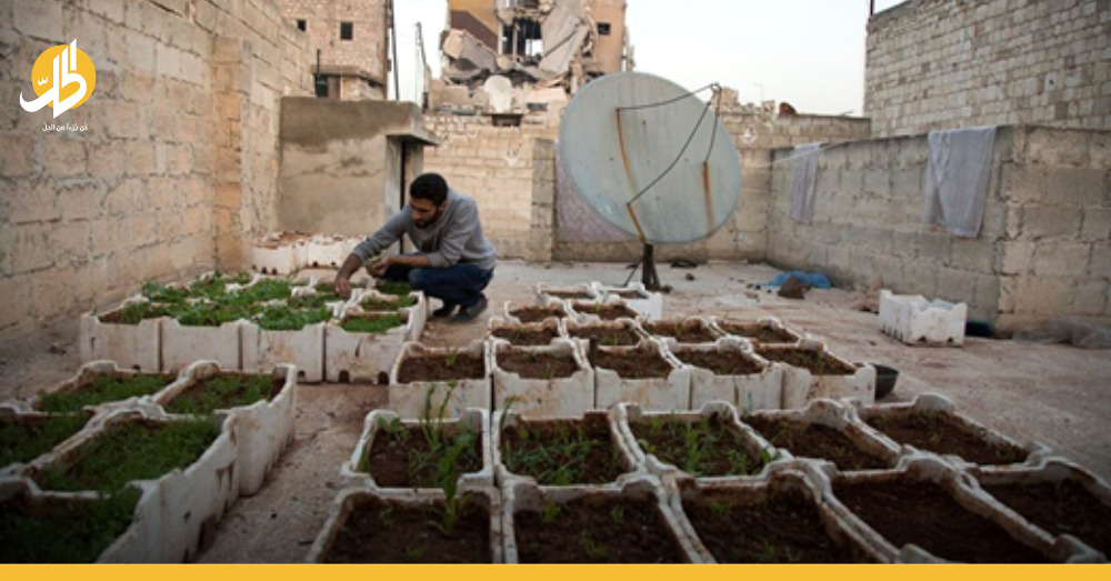 الزراعة المنزلية.. وسائل جديدة للتغلب على صعوبات المعيشة في سوريا