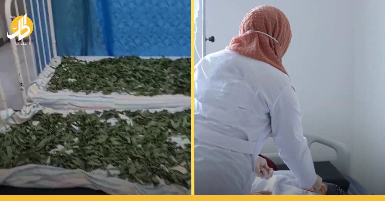 الملوخية تتسبب بإغلاق مشفى سوري بالشمع الأحمر.. ما القصة؟