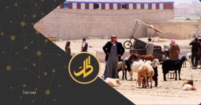 الجفاف يلتهم الأضاحي في سوريا.. مقارنة صادمة لأسعار المواشي بين العام الحالي والماضي