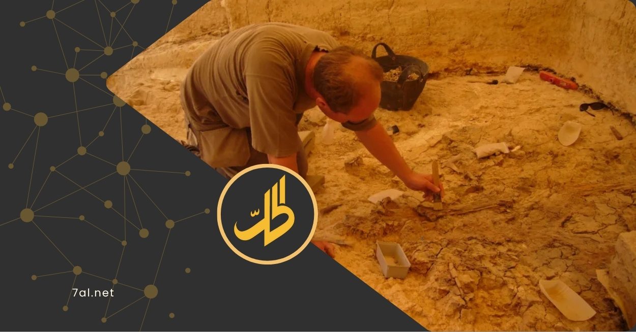 “المجلس الدولي للمتاحف” يحذر السلطات السورية.. ما القصة؟