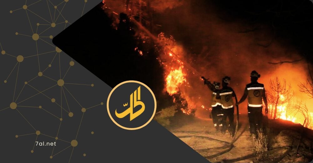 رياح قوية وطرق وعرة.. حرائق اللاذقية تشتعل مجدداً وعوائق تواجه الدفاع المدني