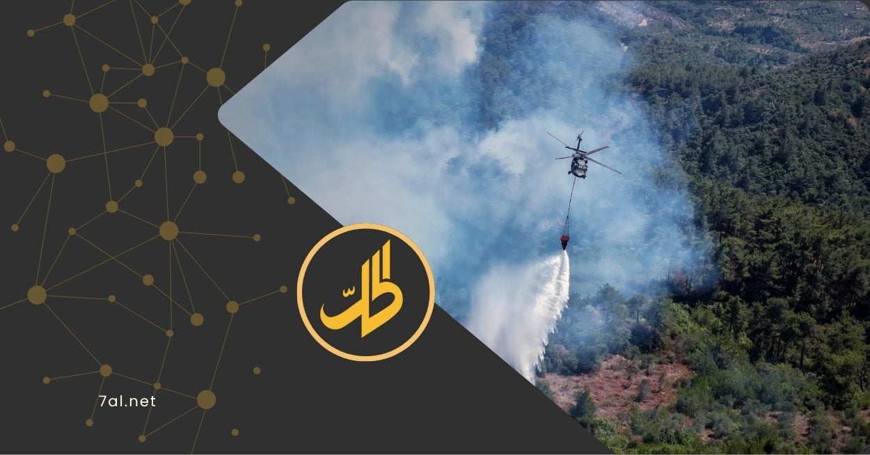 حرائق اللاذقية تلتهم 4% من غابات سوريا: صور صادمة ونداءات استغاثة