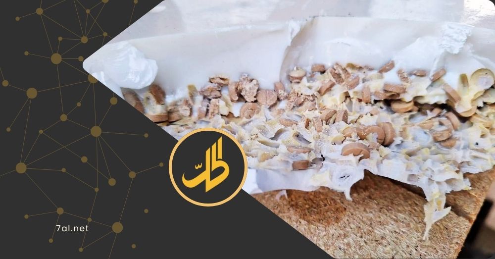 “تجارة مستمرة”.. الأردن ولبنان يضبطان شحنات “كبتاغون” قادمة من سوريا