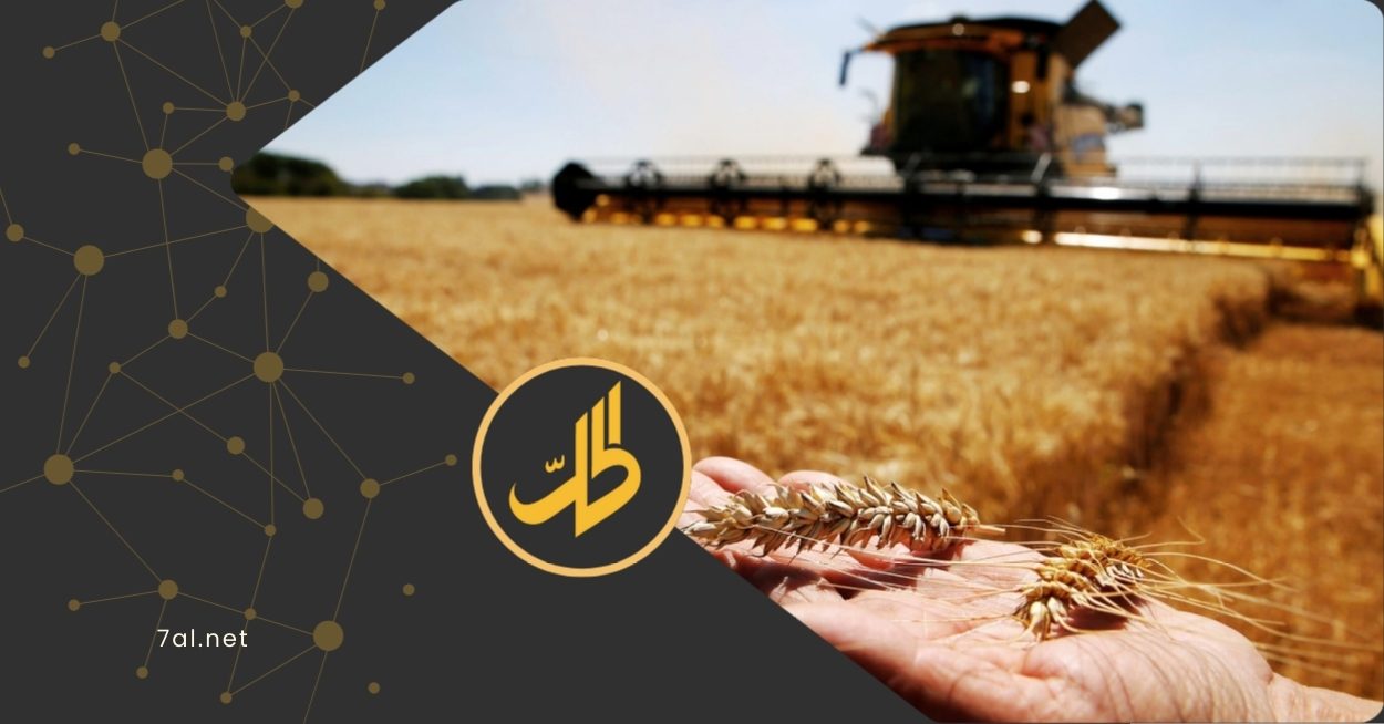 أسوأ موسم زراعي منذ 36 عاما و3 ملايين سوري مهددون بالجوع