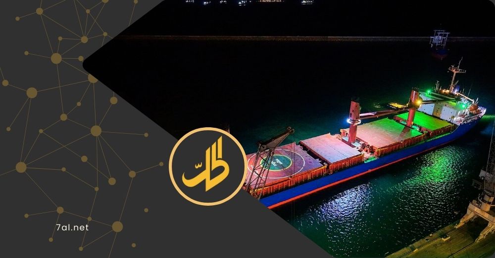 وصول أول باخرة محمّلة بالحبوب من أميركا الجنوبية وأوروبا إلى سوريا