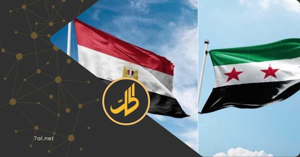 مصر تطالب بمسار سياسي شامل في سوريا.. تفاصيل
