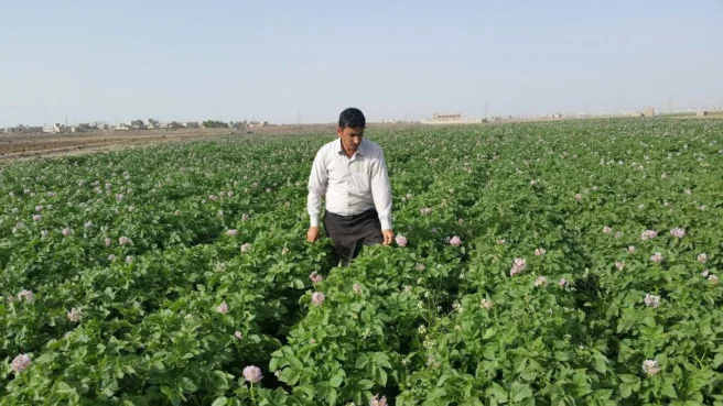 بين حرب مستمرة منذ عشر سنوات، وتغيرات مناخية قاسية، وانهيار اقتصادي متسارع، يجد المزارع اليمني نفسه في مواجهة مفتوحة مع واقع يضيق فيه هامش البقاء، وتتآكل فيه القدرة على إنتاج الغذاء، بفعل سياسات جباية خانقة، وغياب تام للدعم.