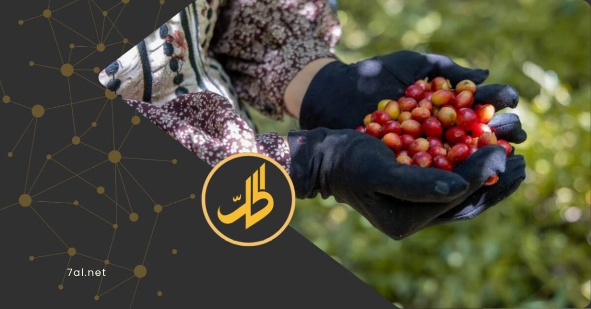 في وقت تتسارع فيه التحذيرات الدولية من اتساع رقعة الجوع في اليمن، يكشف تراجع القطاع الزراعي عن أزمة أعمق تضرب قدرة البلاد على إنتاج الحد الأدنى من الغذاء، مع دخول مئات آلاف الأسر الريفية دائرة الخطر. 