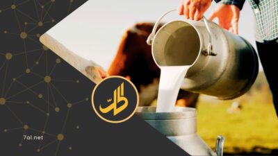 تعاون دولي لإنعاش قطاع الألبان في سوريا.. هل يترجم إلى خفض أسعار؟