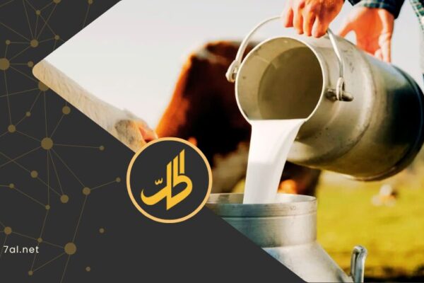 تعاون دولي لإنعاش قطاع الألبان في سوريا.. هل يترجم إلى خفض أسعار؟