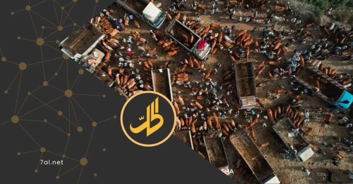 تبدو أسواق المواشي في اليمن ذات حركة مزدحمة، مع اقتراب عيد الأضحى، لكن كثيراً من اليمنيين يدخلونها هذا العام بقدرة شرائية متراجعة، وسط ارتفاع حاد في أسعار الأضاحي، وتدهور متواصل في الأوضاع الاقتصادية والمعيشية.