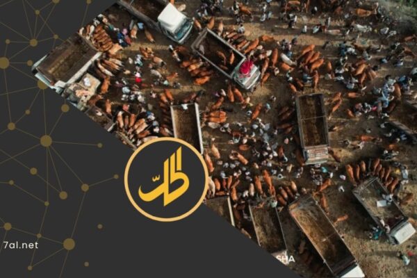 أسواق المواشي في اليمن.. أمنية عيد الأضحى تصطدم بالانهيار الاقتصادي