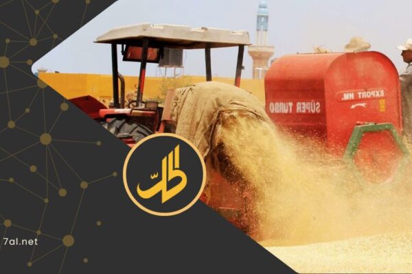 “القمح السوري” بين التسعيرة الحكومية وكلفة الإنتاج.. كم يبلغ السعر العادل؟