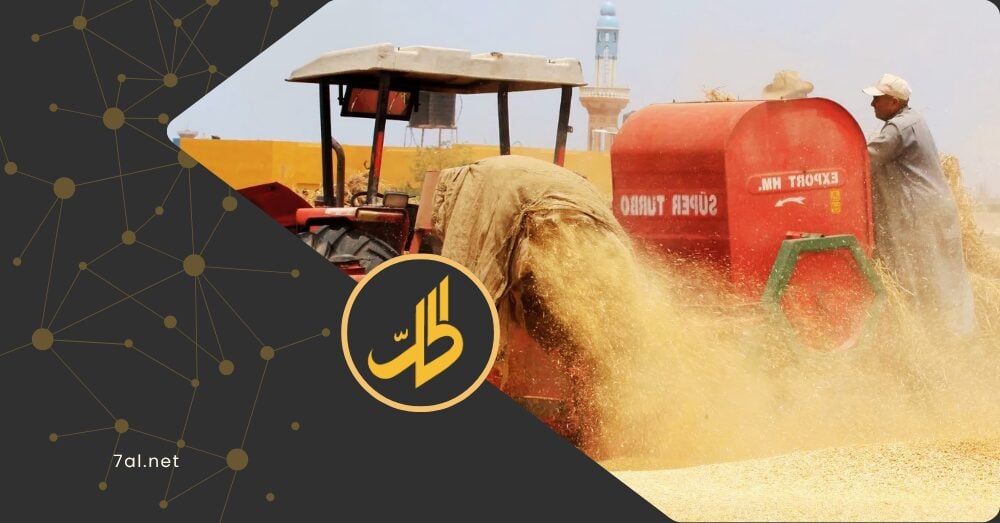 تسعيرة القمح