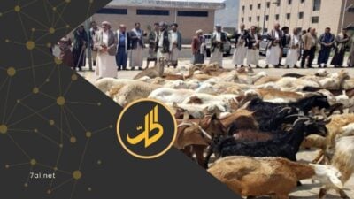 قبل حلول عيد الأضحى بأيام، صعّدت جماعة "الحوثي" الموالية لطهران، حملات التحصيل المالي والعيني في صنعاء وريفها، فارضة على التجار والمواطنين مساهمات إجبارية، لما تسميه "القوافل العيدية"، رغم التدهور الاقتصادي المتواصل، واتساع رقعة الفقر في مناطق سيطرتها.