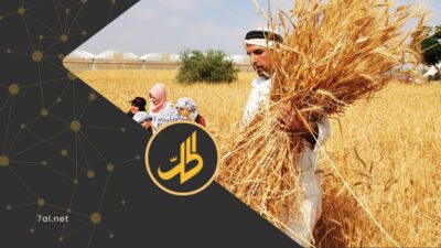 تسعيرة القمح