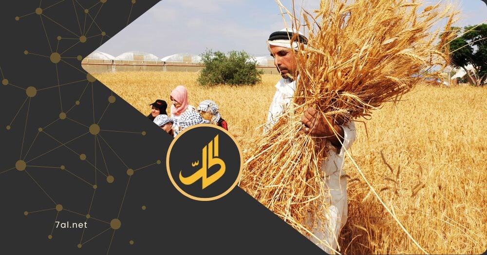 تسعيرة القمح