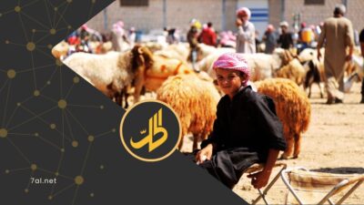 أسعار الأضاحي
