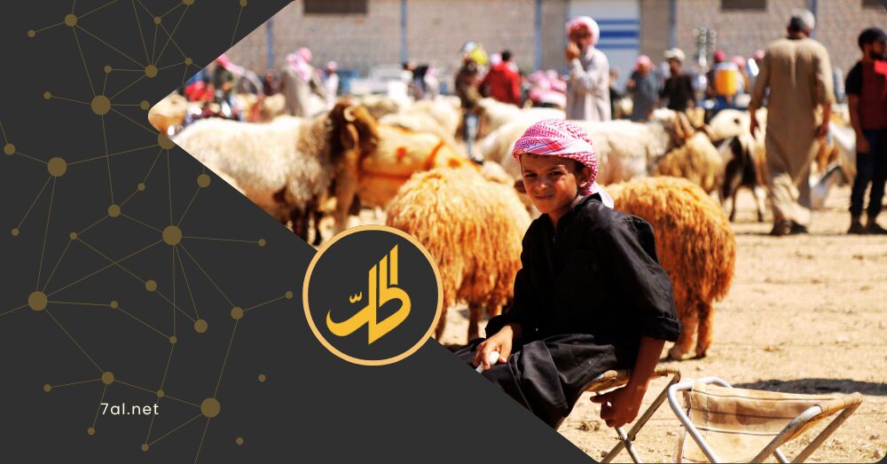 أسعار الأضاحي