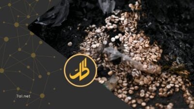 رجحت معلومات أمنية ومحلية متداولة تصاعد نشاط جماعة "الحوثي" الموالية لطهران، في مجال تصنيع وتهريب المخدرات الكبتاجون، في مؤشر جديد على توسع ما يٌعرف بـ"اقتصاد الحرب" داخل مناطق سيطرة الجماعة شمالي اليمن.