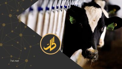 هل تفشت الحمى القلاعية في سوريا؟.. دمشق ترد على القرار العراقي