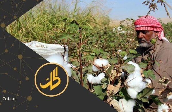 ارتفاع أسعار الأسمدة يهدد الزراعة في سوريا