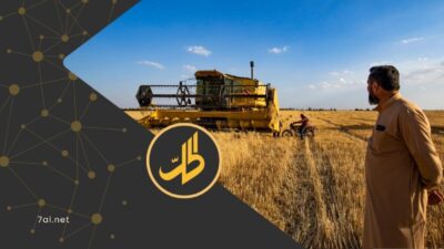 9 آلاف ليرة إضافية للطن.. هل تكفي لحل أزمة القمح في سوريا؟