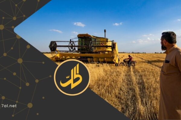 9 آلاف ليرة إضافية للطن.. هل تكفي لحل أزمة القمح في سوريا؟