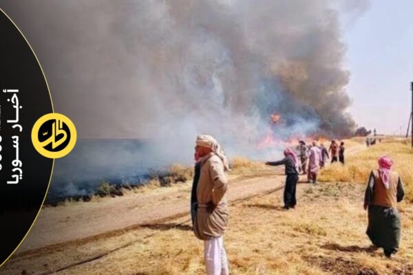 مزارعو الحسكة يطالبون بتعويضات عاجلة بعد الحرائق