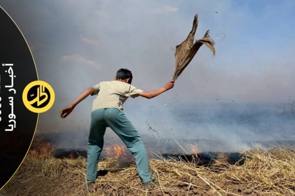 حرائق الحسكة تلتهم 65 دونماً من القمح والشعير.. من يعوض المزارعين؟