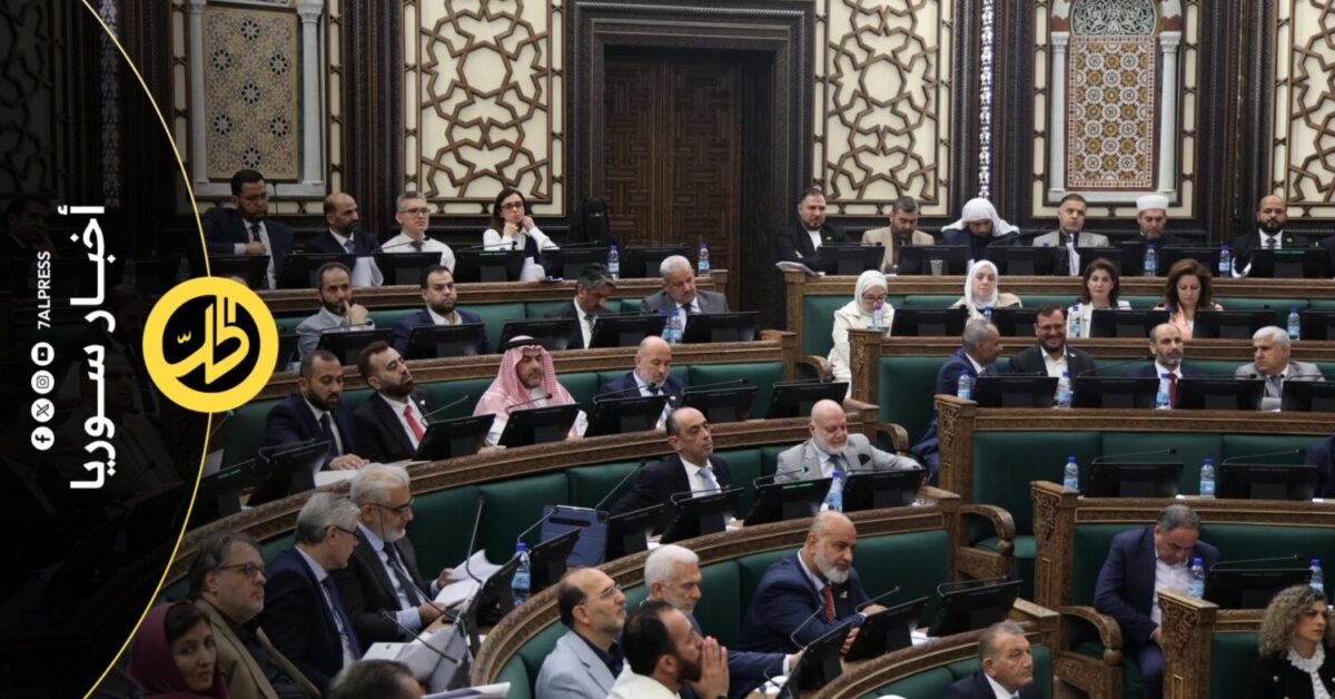 من الحصانة إلى المعاهدات الدولية.. ماذا يتضمن النظام الداخلي لمجلس الشعب؟