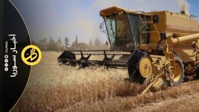 أين ذهبت مستحقات القمح؟ مزارعو الحسكة ينتظرون منذ شهور 