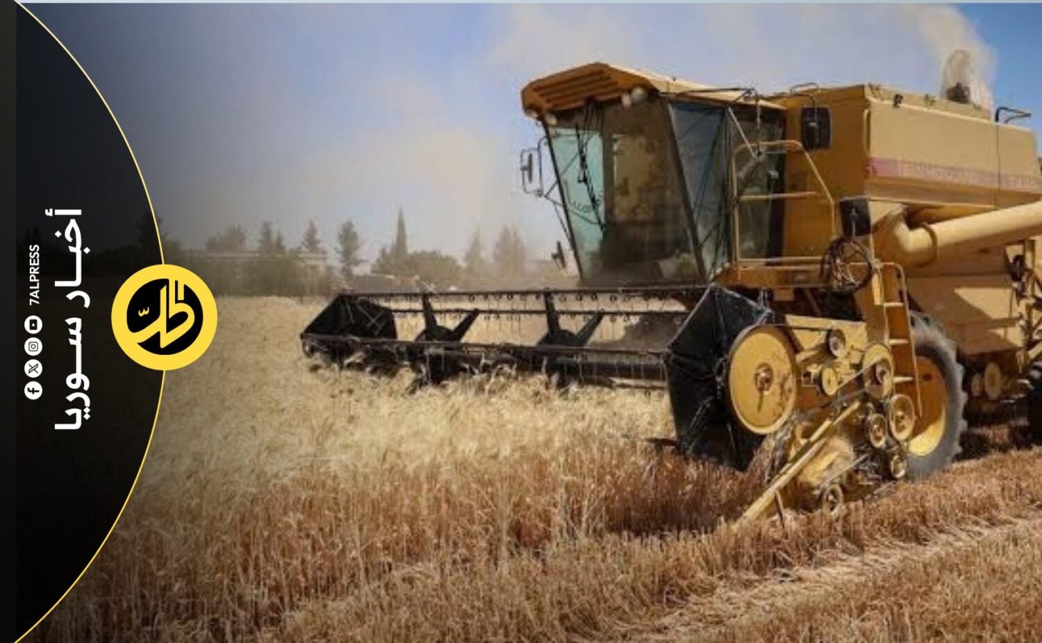أين ذهبت مستحقات القمح؟ مزارعو الحسكة ينتظرون منذ شهور