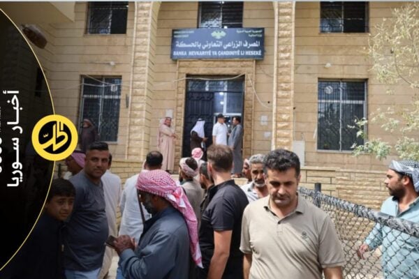 تأخر مستحقات القمح يهدد الموسم الزراعي المقبل في الحسكة